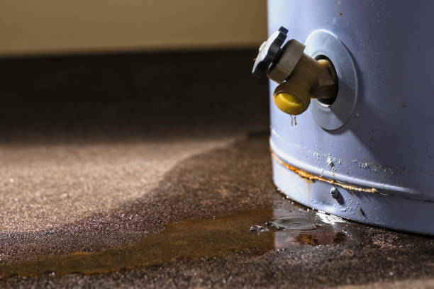 Best Local water damage restoration  in Middleport, NY