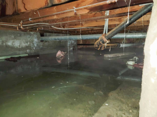 Best Residential water damage restoration  in Middleport, NY