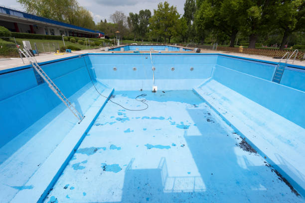 Best Professional water damage repair  in Middleport, NY