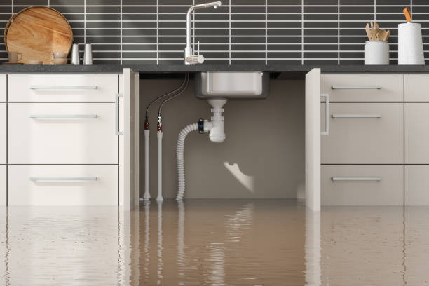 Best Water damage restoration process  in Middleport, NY