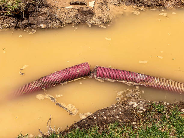 Best Water damage restoration mold remediation  in Middleport, NY
