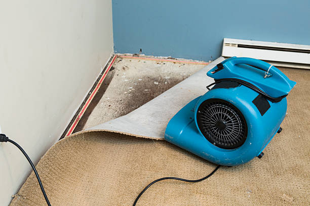 Best Carpet water damage restoration  in Middleport, NY